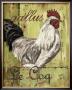 Rooster Ii by Debbie Dewitt Limited Edition Pricing Art Print