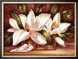 Blossoming Magnolias by Peggy Thatch Sibley Limited Edition Pricing Art Print