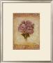 Rose Violeta by Shari White Limited Edition Print