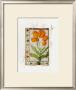 Botanics Of 17Th Century I by Flori Florilegium Limited Edition Print