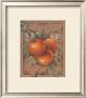 Orange Fructus by Constance Lael Limited Edition Pricing Art Print