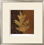 Quercus by Paula Scaletta Limited Edition Print