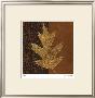 Quercus by Paula Scaletta Limited Edition Pricing Art Print