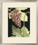 Dynamic Grapes Ii by Ethan Harper Limited Edition Print