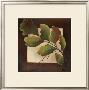 Leaves Over Brown I by Patricia Quintero-Pinto Limited Edition Print