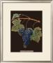 Brookshaw Purple Grapes by George Brookshaw Limited Edition Print