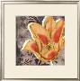 Radiant Tulips I by Jennifer Goldberger Limited Edition Print