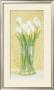White Tulips In Vase by David Col Limited Edition Pricing Art Print