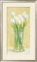 White Tulips In Vase by David Col Limited Edition Print