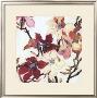 Magnolias Xix by Jenni Christensen Limited Edition Pricing Art Print