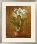 White Amaryllis On Bronze by Danhui Nai Limited Edition Pricing Art Print