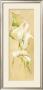 Exclusif by Elizabeth Espin Limited Edition Pricing Art Print