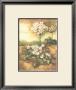 Primrose by Tina Chaden Limited Edition Pricing Art Print