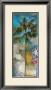 Tropical Isle I by Edwin Douglas Limited Edition Print