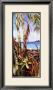 Palms And Bromeliads by Deborah Thompson Limited Edition Print