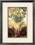 The Corn King by Charles Vess Limited Edition Print