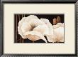 Amazing Poppies Iii by Jettie Roseboom Limited Edition Print