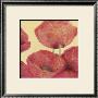Squared Poppies Ii by Katharina Reichert Limited Edition Print