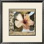 Hibiscus Ii by Di Grazzia Limited Edition Pricing Art Print