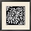 Graphic Chrysanthemums I by Nancy Slocum Limited Edition Print