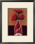 Potted Flowers Iv by Monica Ibanez Limited Edition Pricing Art Print