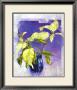 I. Kupper Pricing Limited Edition Prints