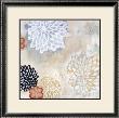 Kimono I by Jodi Fuchs Limited Edition Pricing Art Print