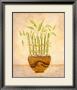 Bamboo, Happiness by Valerie Wenk Limited Edition Pricing Art Print