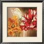 Tulips by Selina Werbelow Limited Edition Print