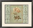 Heritage Roses I by Sarah Elizabeth Chilton Limited Edition Pricing Art Print