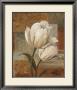 Tulip Waltz Iii by Lisa Audit Limited Edition Print