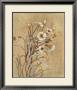 Wild Flowers I by Lanie Loreth Limited Edition Pricing Art Print