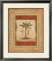 Palm Botanical Study I by Susan Osborne Limited Edition Pricing Art Print