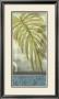 Sophisticated Palm Iii by Jennifer Goldberger Limited Edition Print