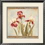 Iris Tapestry Ii by Asia Jensen Limited Edition Print