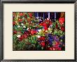 Flower Box Window by Tomiko Tan Limited Edition Pricing Art Print