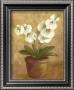 White And Red Flowers In Pot by Jose Gomez Limited Edition Print