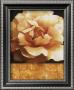 Magnolia Gold Tile Ii by T. C. Chiu Limited Edition Print