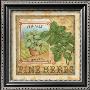 Fine Herbs I by Daphne Brissonnet Limited Edition Pricing Art Print