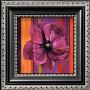 Un Amour D'anemone by Anne Fremin Besombes Limited Edition Print