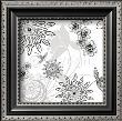 White Shadow  Lace by Kate Knight Limited Edition Pricing Art Print