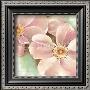 Wild Rose Roses by Arkadiusz Warminski Limited Edition Pricing Art Print