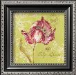 Toile Tulip by Stefania Ferri Limited Edition Pricing Art Print