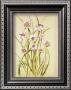 Flor Campestre I by Nistal Limited Edition Print