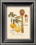 Olive Cucina by Marco Fabiano Limited Edition Pricing Art Print