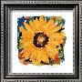 Giant Sunflower by Alfred Gockel Limited Edition Print