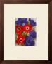 Anemones by John Newcomb Limited Edition Pricing Art Print