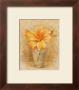 Lily Blossom In Glass by Danhui Nai Limited Edition Print