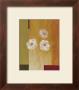 Three White Flowers Ii by Fernando Leal Limited Edition Print