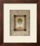 European Pine Ii by Michael Marcon Limited Edition Print